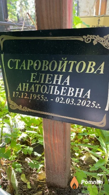Старовойтова Елена Анатольевна