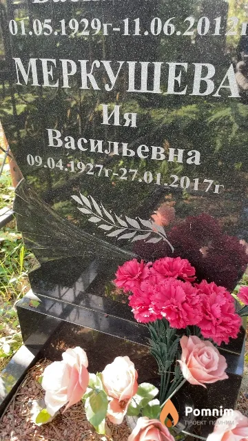 Меркушева Ия Васильевна