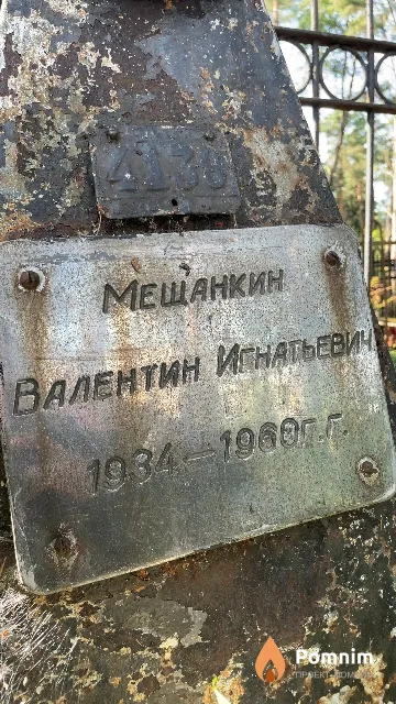 Мещанкин Валентин Игнатьевич