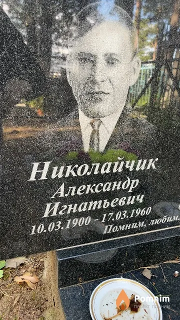 Николайчик Александр Игнатьевич