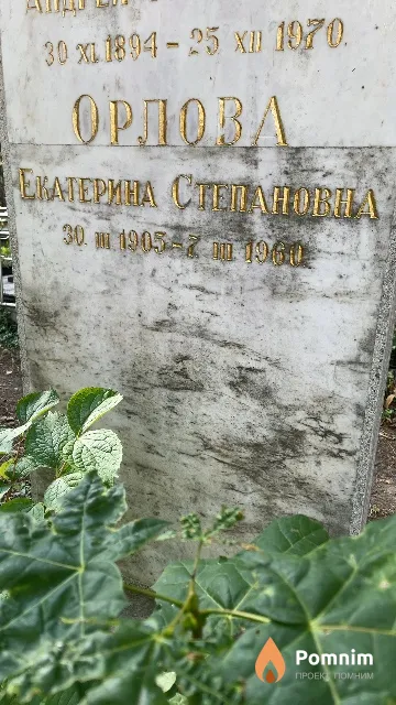 Орлова Екатерина Степановна