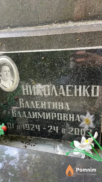 Николаенко Валентина Владимировна
