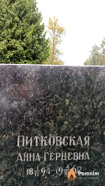 Питковская Анна Герцевна