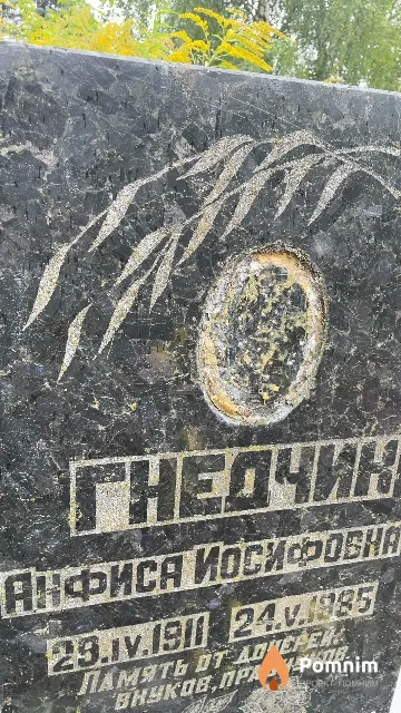 Гнедчик Анфиса Иосифовна
