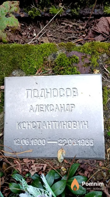Подносов Александр Константинович