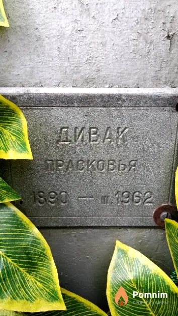 Дивак Прасковья