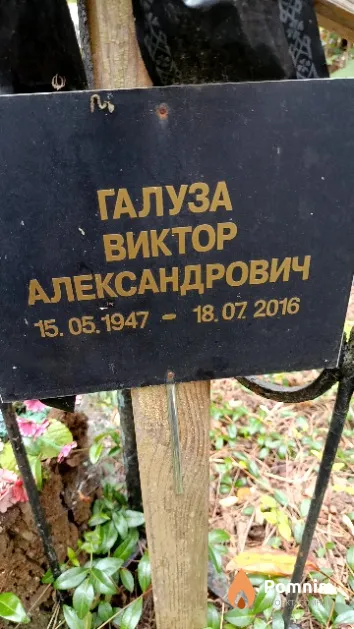 Галуза Виктор Александрович