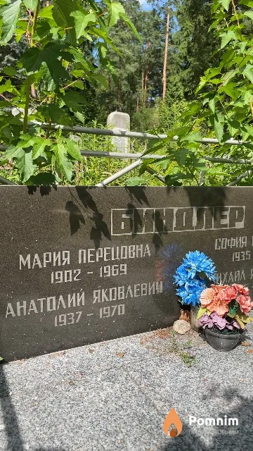 Биндлер Анатолий Яковлевич