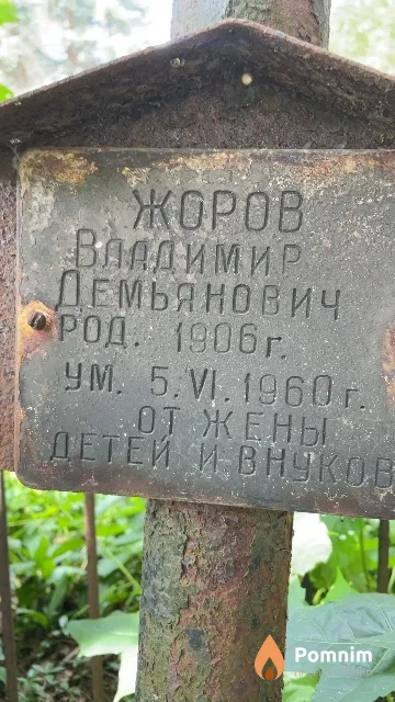 Жоров Владимир Демьянович