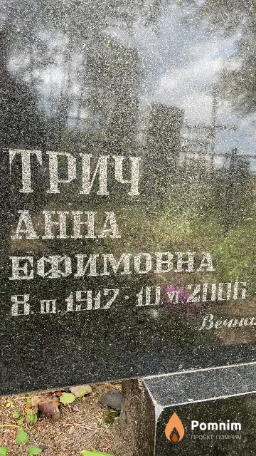 Трич Анна Ефимовна