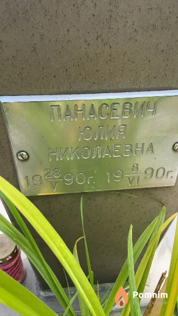Панасевич Юлия Николаевна