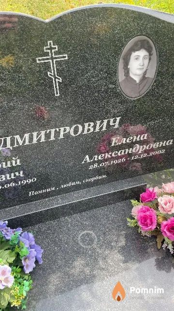 Дмитрович Елена Александровна