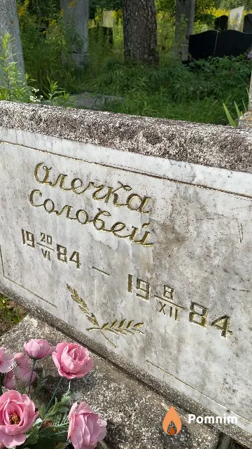 Соловей Ольга