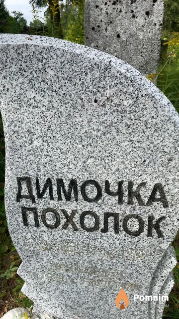 Похолок Дмитрий