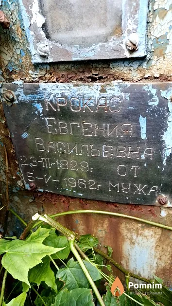 Крокас Евгения Васильевна