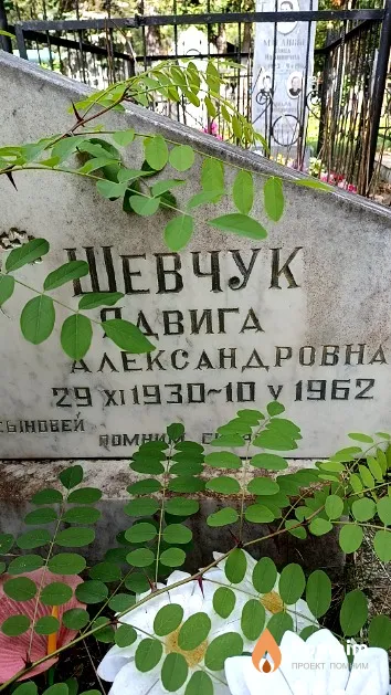 Шевчук Ядвига Александровна