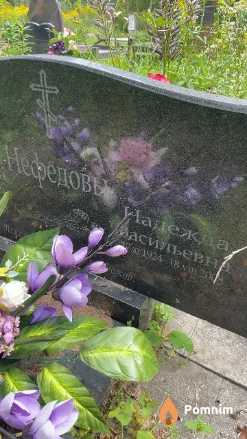Нефедова Надежда Васильевна