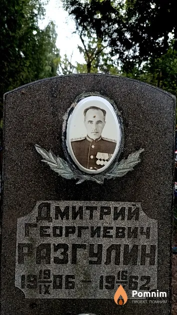 Разгулин Дмитрий Георгиевич