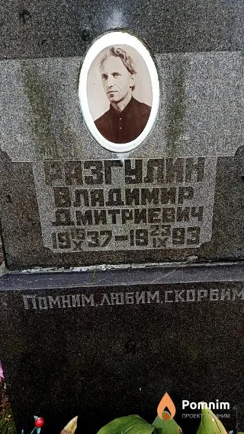 Разгулин Владимир Дмитриевич