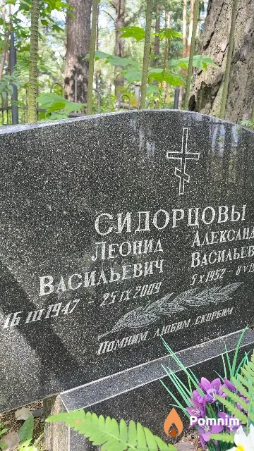 Сидорцов Леонид Васильевич
