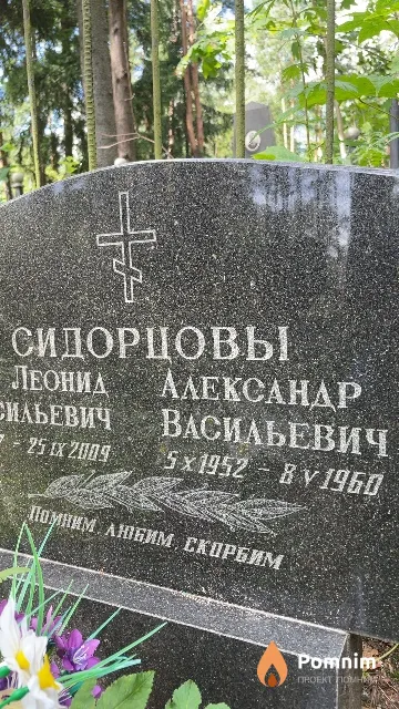Сидорцов Александр Васильевич