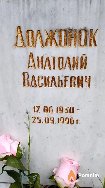 Должонок Анатолий Васильевич