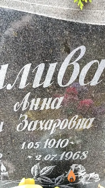 Заливако Анна Зачаровна