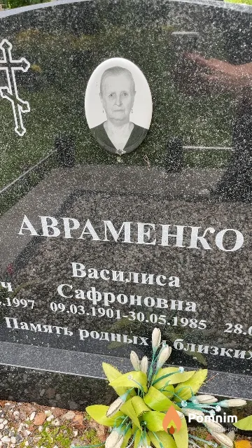 Авраменко Василиса Сафроновна