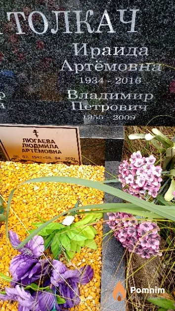 Толкач Александр Петрович