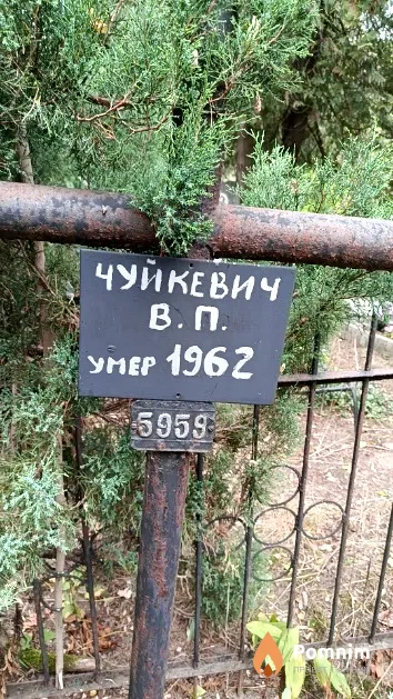 Чуйкевич В. П.