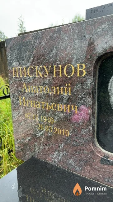 Пискунов Анатолий Игнатьевич