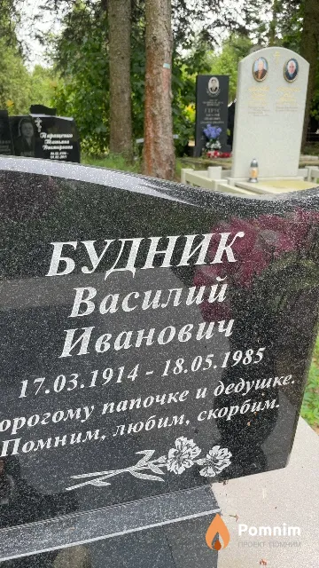 Будник Василий Иванович