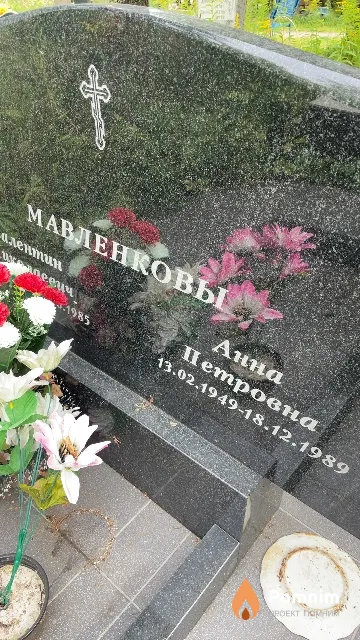 Мавленкова Анна Петровна