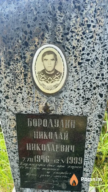 Бородулин Николай Николаевич