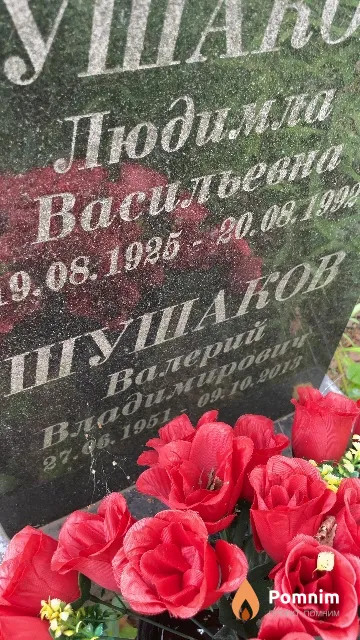 Шушаков Валерий Владимирович