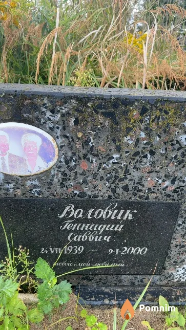Воловик Геннадий Саввич
