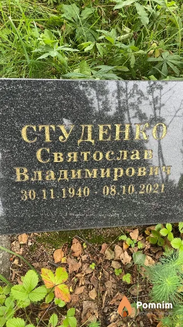 Студенко Святослав Владимирович