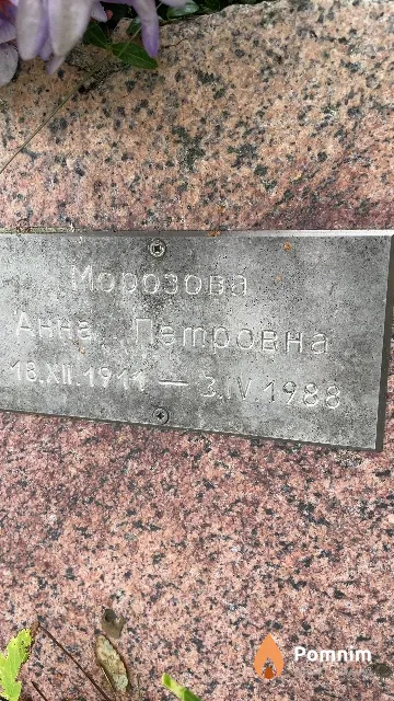 Морозова Анна Петровна