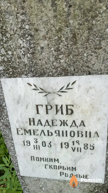 Гриб Надежда Емельяновна