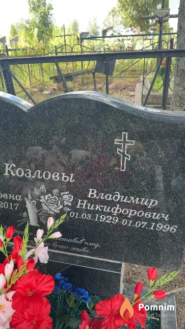 Козлов Владимир Никифорович