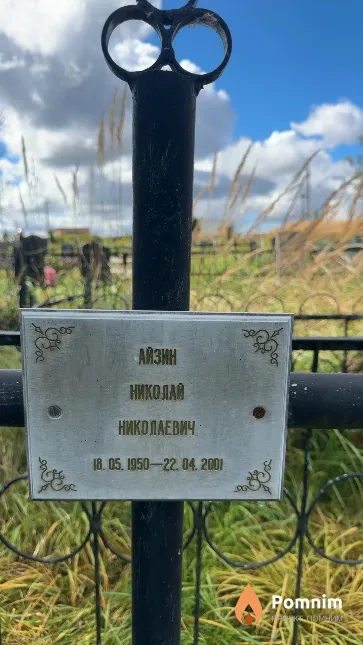 Айзин Николай Николаевич