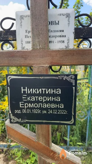 Никитина Екатерина Ермолаевна