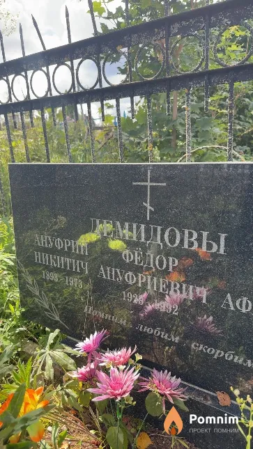Демидов Ануфрий Никитич