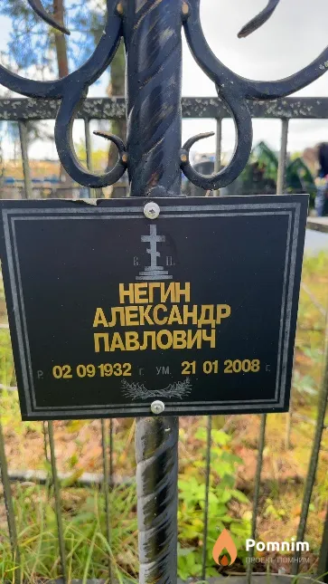 Негин Александр Павлович