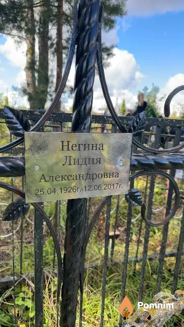 Негина Лидия Александровна