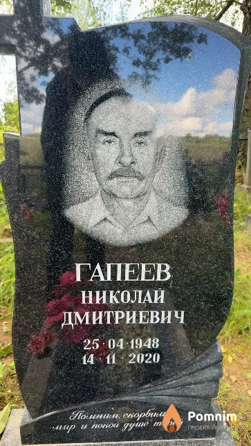 Гапеев Николай Дмитриевич