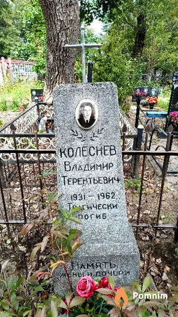 Колеснев Владимир Терентьевич