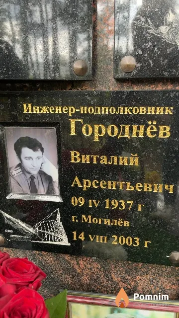 Городнёв Виталий Арсентьевич