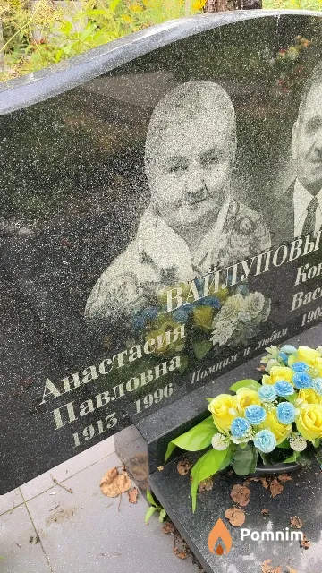 Вайлупова Анастасия Павловна