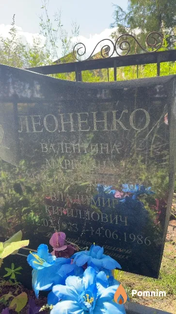 Леоненко Владимир Кириллович